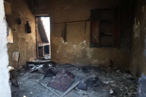 Tarım alanlarının da etkilendiği yangına havadan ve karadan müdahale devam ederken, bölgedeki şiddetli rüzgar çalışmaları güçleştirdi. - Sputnik Türkiye