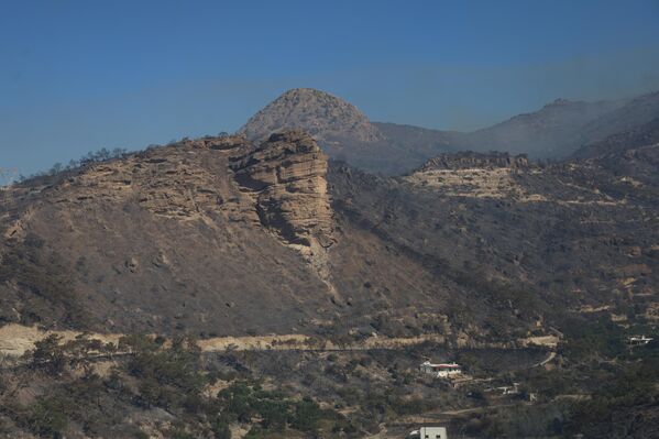 Yangından etkilenen 3 vatandaş solunum sorunu nedeniyle 2 vatandaş ise hafif yaralı olarak hastanede tedavi altına alındığı aktarıldı. - Sputnik Türkiye