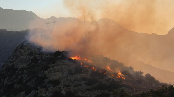 Yunanistan'ın Girit Adası'ndaki orman yangınını söndürme çalışmaları devam ediyor - Sputnik Türkiye