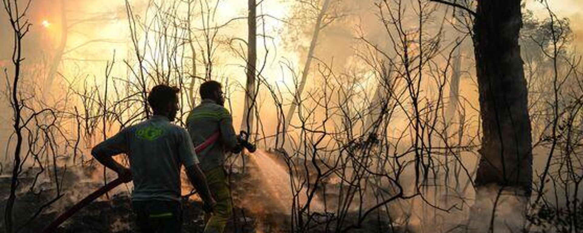 Orman Yangını - Sputnik Türkiye, 1920, 04.07.2025