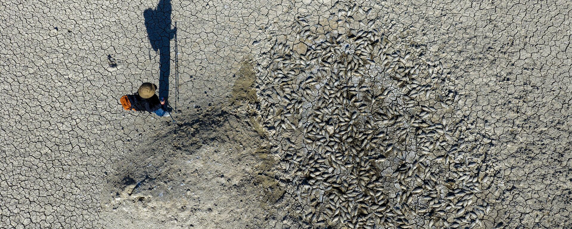 Karaman’daki İbrala Barajı’nda kuraklık nedeniyle balık ölümleri görüldü - Sputnik Türkiye, 1920, 04.07.2025