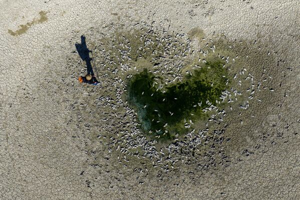 Suyun büyük ölçüde çekilmesiyle baraj yatağında çatlamış topraklar ortaya çıkarken, bazı bölgelerde ise yalnızca küçük su birikintileri kaldı. - Sputnik Türkiye