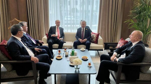 Ekonomik İşbirliği Teşkilatı 17. Zirvesi - Sputnik Türkiye