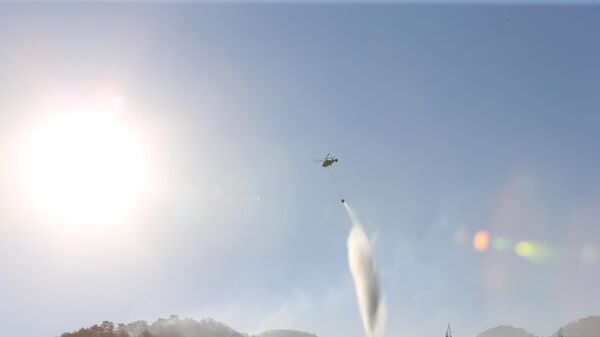 Tarım ve Orman Bakanı Yumaklı, Hatay Dörtyol'daki orman yangınlarına müdahalenin devam ettiğini duyurdu - Sputnik Türkiye