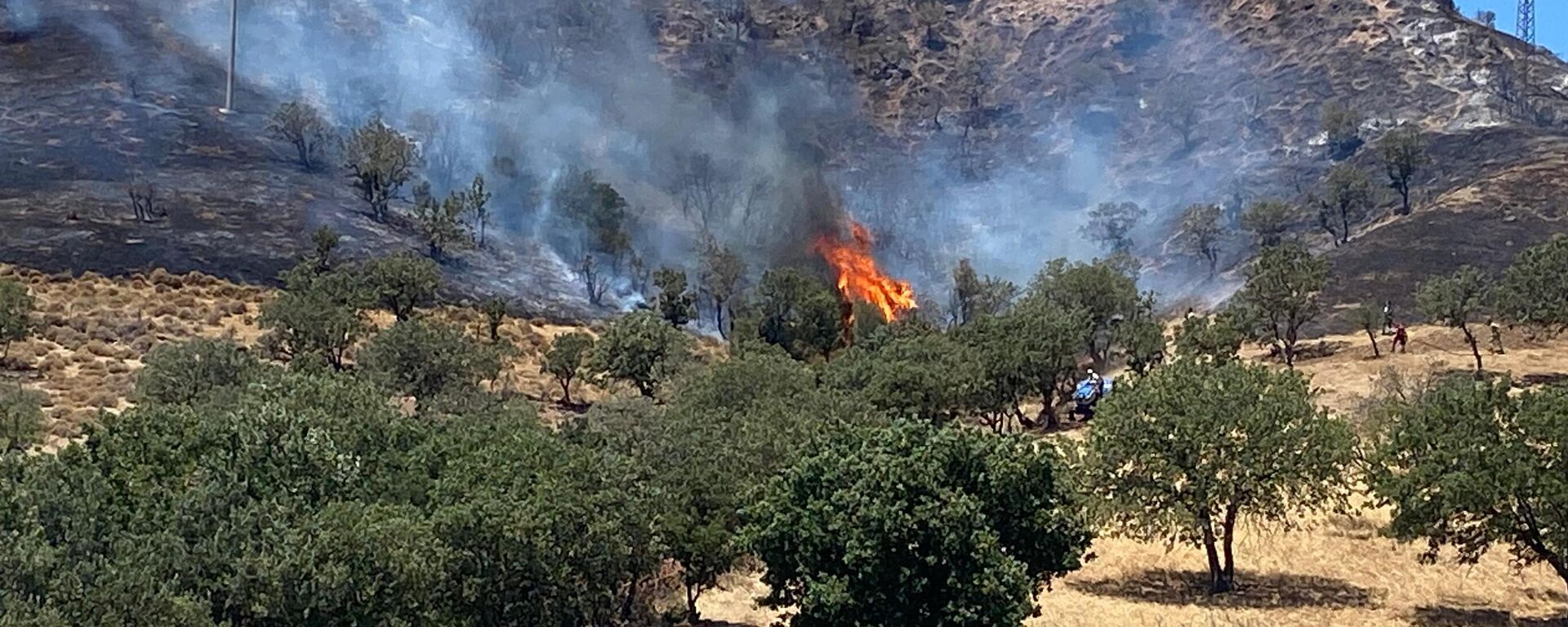 Çanakkale'nin Ayvacık ilçesinde çıkan orman yangınına müdahale ediliyor - Sputnik Türkiye, 1920, 06.07.2025