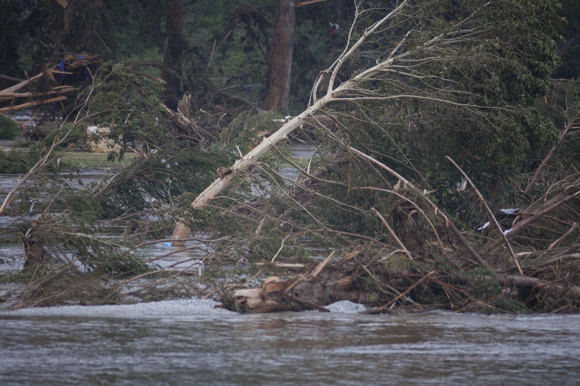Texas eyaletindeki sel felaketinde hayatını kaybedenlerin sayısı 82'ye yükseldi Texas eyaletindeki sel felaketinde hayatını kaybedenlerin sayısı 82'ye yükseldi - Sputnik Türkiye, 1920, 24.12.2025