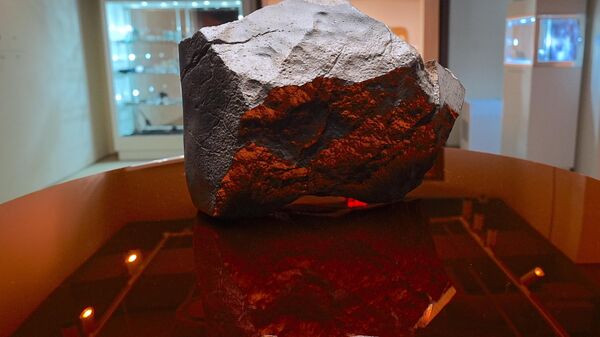 New York’ta, Ceratosaurus iskeleti ve en büyük Mars meteoritleri ilk kez Sotheby’s Müzayede Evi’nde sergileniyor - Sputnik Türkiye