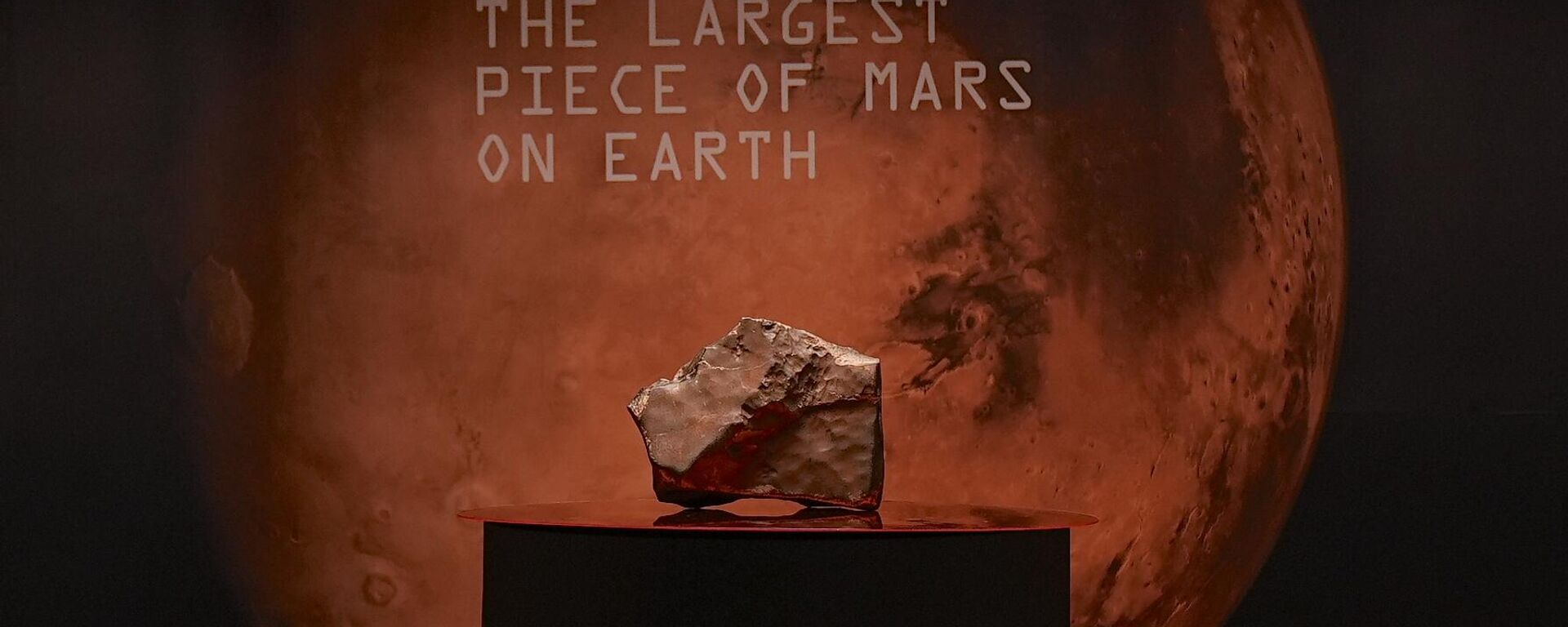 New York’ta, Ceratosaurus iskeleti ve en büyük Mars meteoritleri ilk kez Sotheby’s Müzayede Evi’nde sergileniyor - Sputnik Türkiye, 1920, 14.07.2025