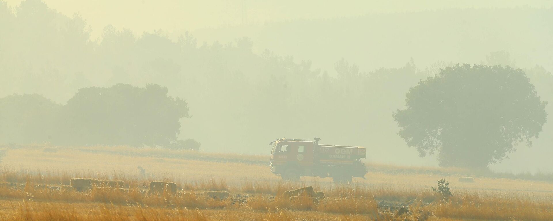 yangın - Sputnik Türkiye, 1920, 09.07.2025