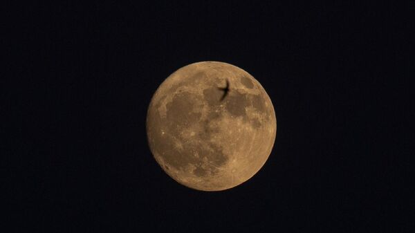 Başkentte akşam saatlerinde gökyüzünde beliren dolunay, kırlangıçlar ile güzel görüntü oluşturdu. - Sputnik Türkiye