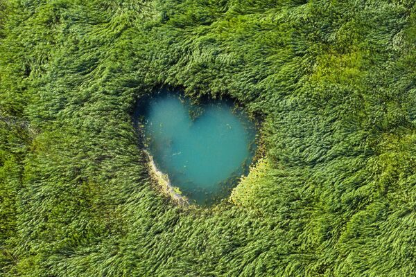 Yaz aylarında etkili olan yüksek sıcaklıklar ve yetersiz yağış nedeniyle göldeki çekilme gözle görülür şekilde artarken, suyun geri çekildiği alanlarda ortaya çıkan doğal kaynak gözeleri havadan görüntülendi. - Sputnik Türkiye