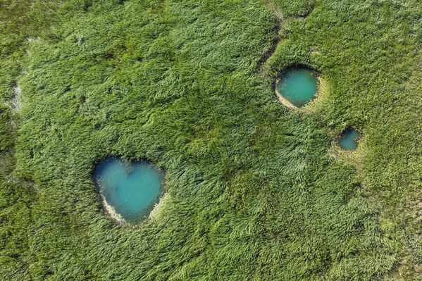 Yaz aylarının kavurucu sıcaklıkları ve yetersiz yağış nedeniyle göldeki su seviyesi ciddi oranda düşerken, daha önce göl suları altında kalan doğal kaynak gözeleri gün yüzüne çıktı. - Sputnik Türkiye