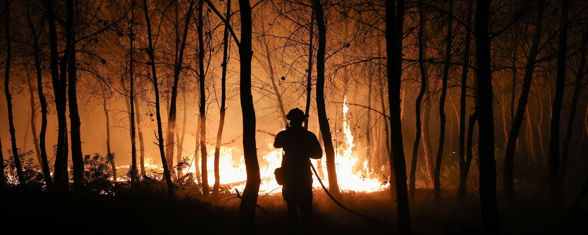 Orman yangını - Sputnik Türkiye, 1920, 10.07.2025
