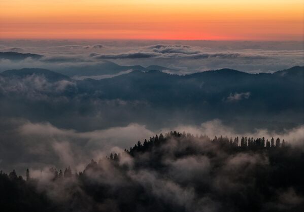Rize’nin Çamlıhemşin ilçesine bağlı Kaçkar Dağları Milli Parkı sınırları içindeki vadide oluşan ‘’sis denizi’’ havadan görüntülendi.  - Sputnik Türkiye