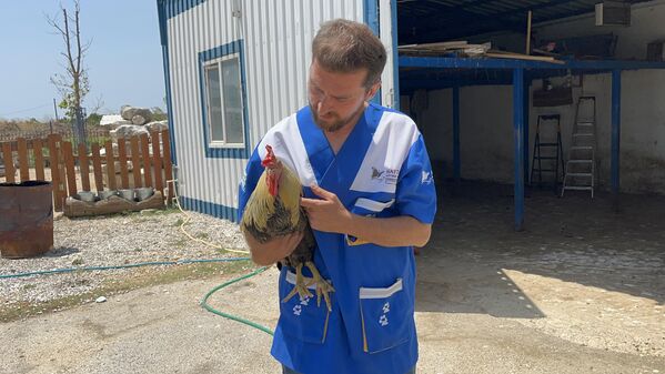 HAYTAP çalışanı Gökberk Uçan, gazetecilere yaptığı açıklamada, Ödemiş&#x27;te çıkan yangını duyar duymaz ekiplerin bölgeye gittiğini ve yaralanan hayvanların ilk tedavisini burada kurdukları sahra çadırında yaptıklarını söyledi. - Sputnik Türkiye