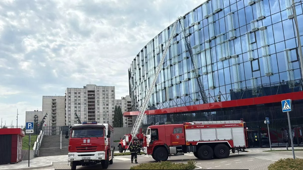 Belgorod Arena - Sputnik Türkiye