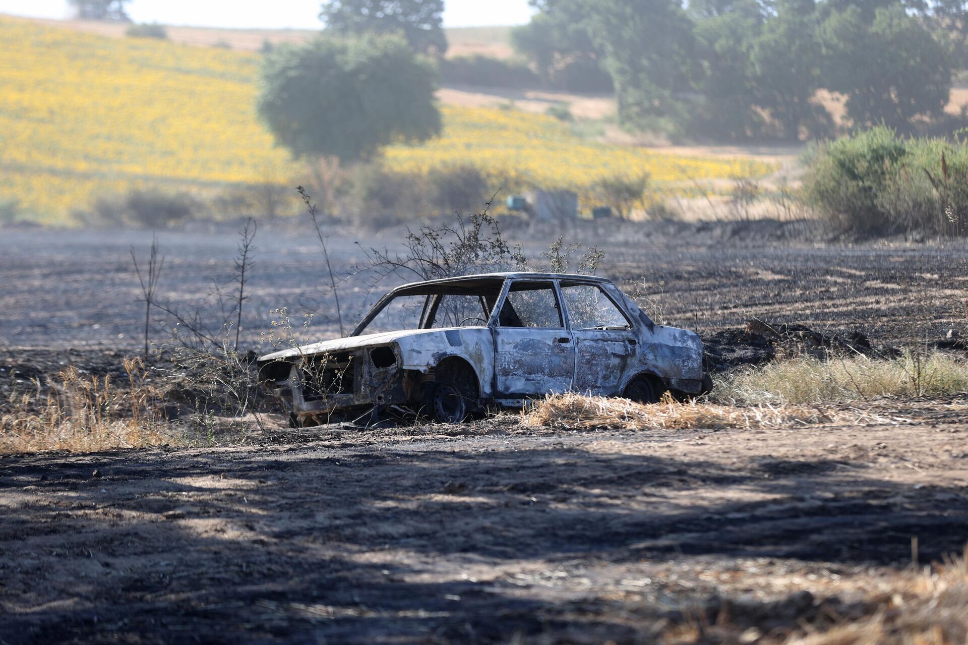 Kırklareli yangın - Sputnik Türkiye, 1920, 12.07.2025