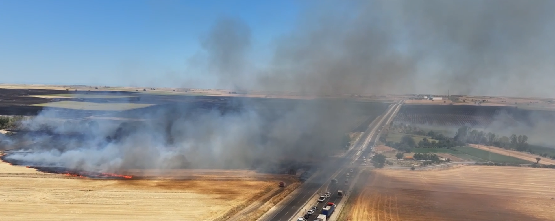 Edirne'de geniş alanda etkili olan anız yangını - Sputnik Türkiye, 1920, 26.07.2025