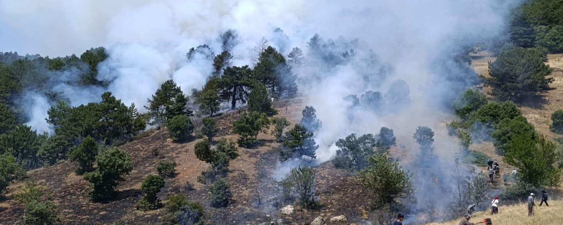 Konya - Sputnik Türkiye, 1920, 14.07.2025