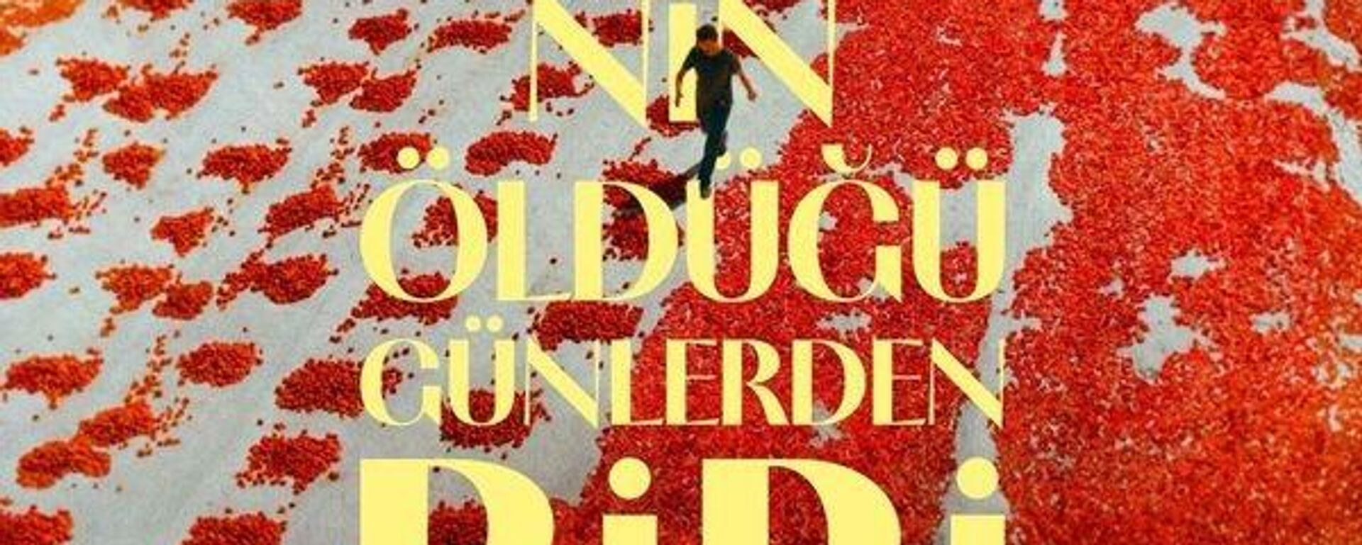 Hemme'nin Öldüğü Günlerden Biri Hemme'nin Öldüğü Günlerden Biri - Sputnik Türkiye, 1920, 14.07.2025