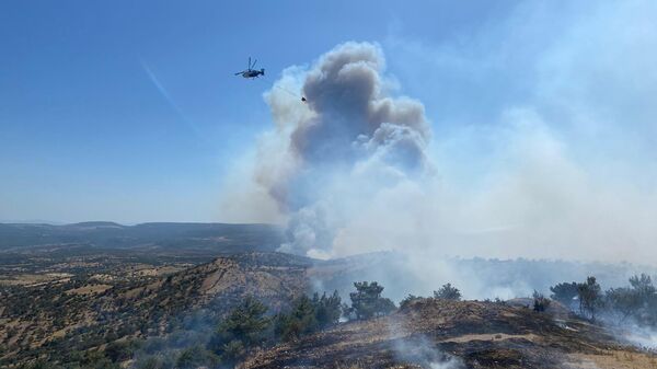 Çanakkale  - Sputnik Türkiye