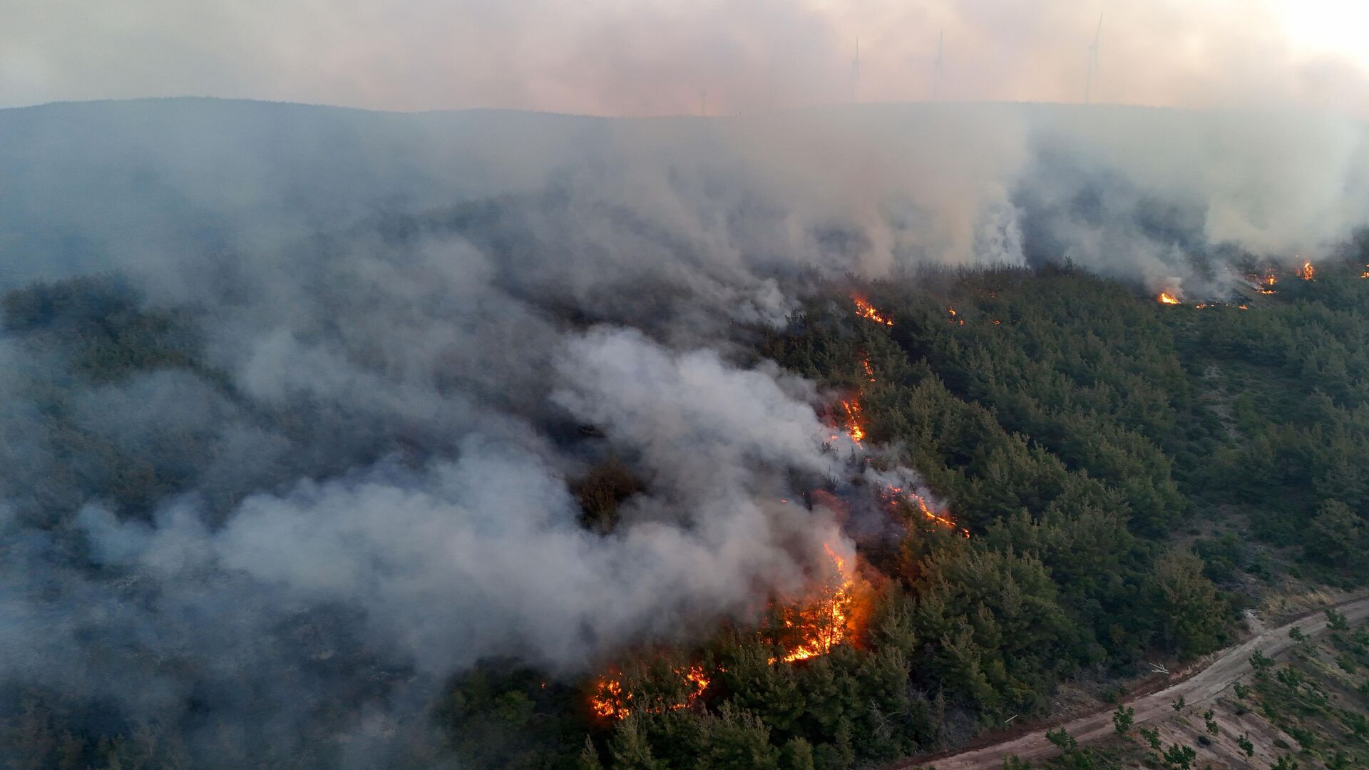 Orman yangını - Sputnik Türkiye, 1920, 30.07.2025