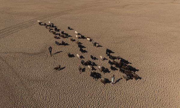 Göletin tabanında oluşan sızıntıların da etkisiyle su tamamen çekildi. - Sputnik Türkiye