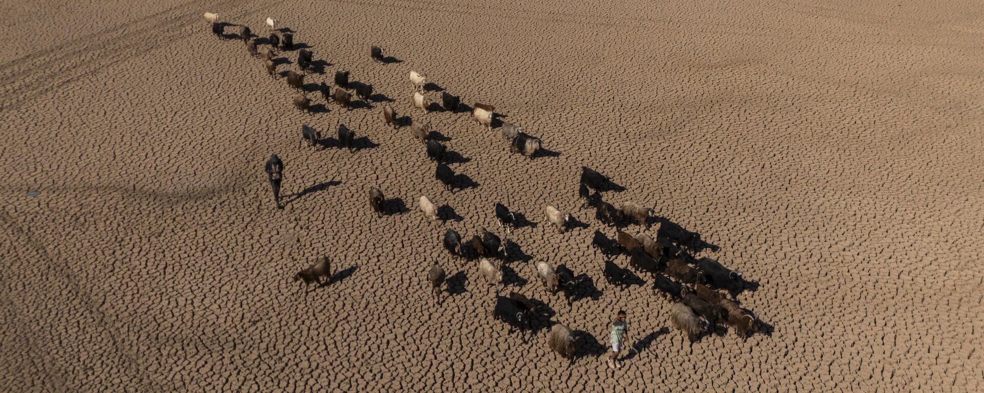 Mazıdağı’nda bulunan gölet kurudu - Sputnik Türkiye, 1920, 11.09.2025