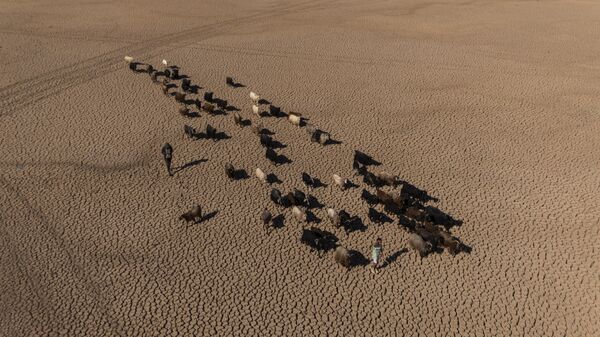 Mazıdağı’nda bulunan gölet kurudu - Sputnik Türkiye