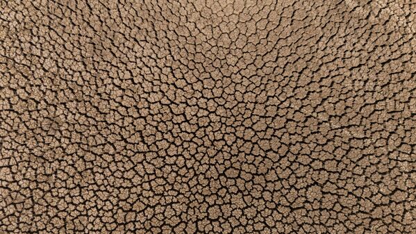 Bölge genelinde yağışların yetersiz kalması, hem tarım alanlarını hem de içme suyu kaynaklarını tehdit ederken, göletlerde de su seviyesi hızla azaldı. - Sputnik Türkiye