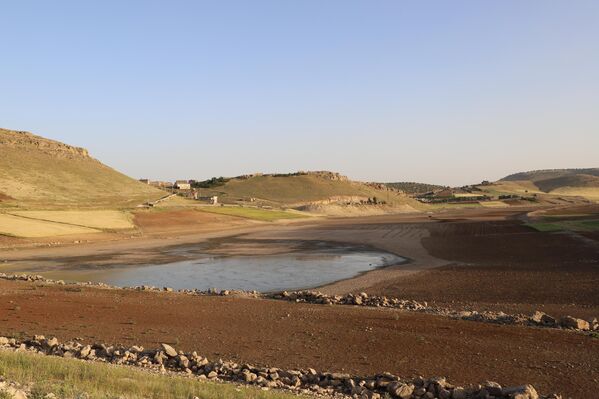 Kuraklık belirtileri son birkaç yıldır balık ölümlerin artmasıyla kendini göstermeye başlamıştı. Buradaki görsel, Mayıs 2021&#x27;e ait. - Sputnik Türkiye