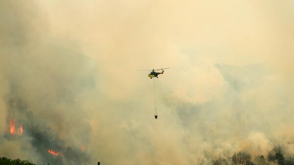 orman yangını - Sputnik Türkiye