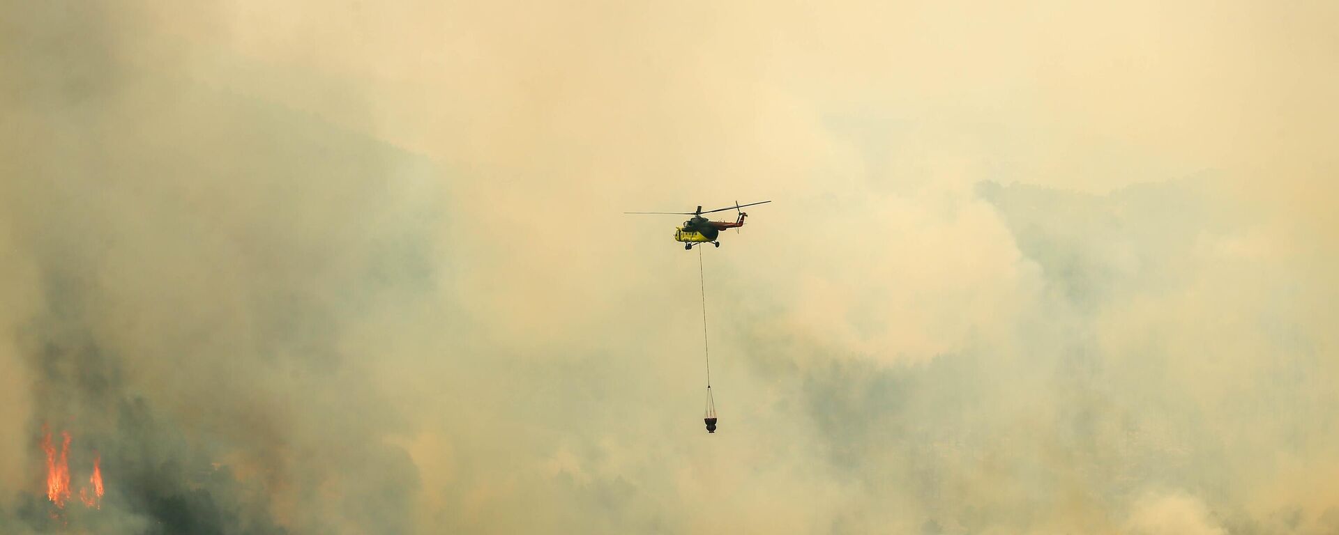 orman yangını - Sputnik Türkiye, 1920, 20.07.2025