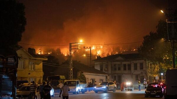 Sakarya yangın - Sputnik Türkiye