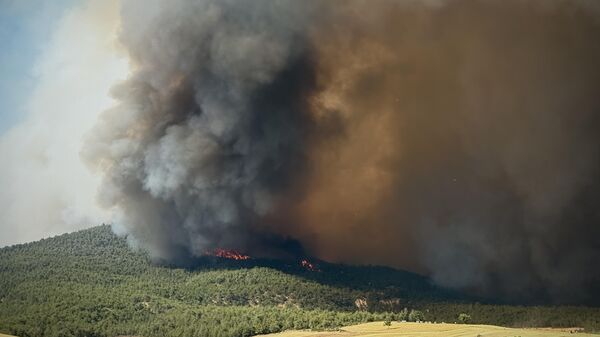 Bilecik yangını - Sputnik Türkiye
