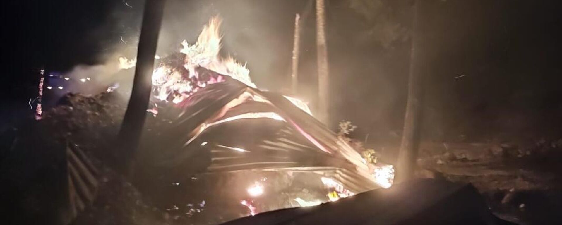 Bilecik orman yangını - Sputnik Türkiye, 1920, 22.07.2025