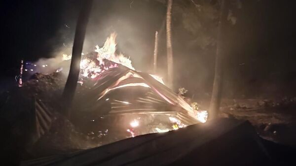 Bilecik orman yangını - Sputnik Türkiye