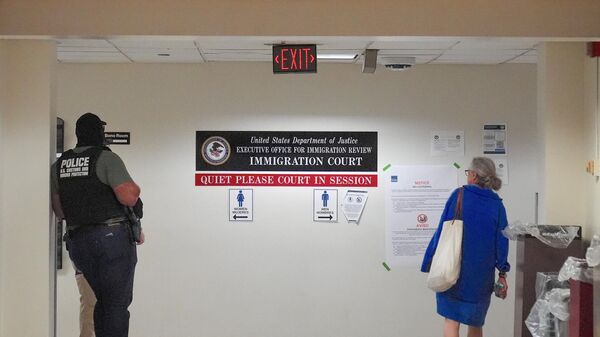  ICE (Göçmenlik ve Gümrük Muhafaza Dairesi)  - Sputnik Türkiye