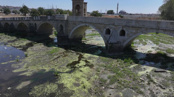 Kuraklığın etkilediği Tunca Nehri'nde su akışı durma noktasına geldi - Sputnik Türkiye