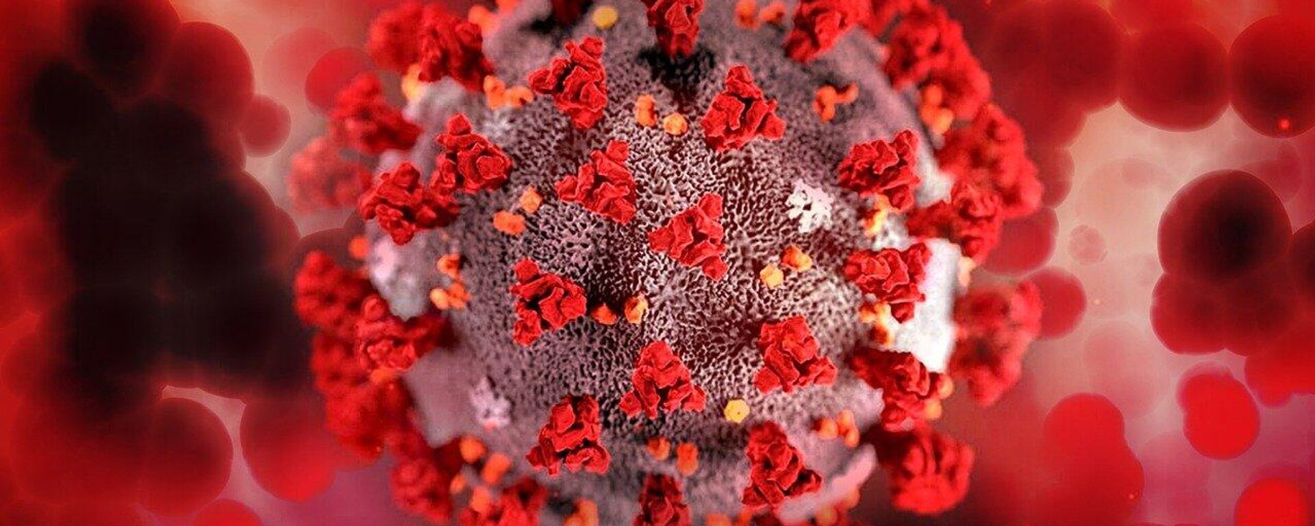 Nijerya'da Lassa ateşi salgını: Can kaybı 162'ye yükseldi - Sputnik Türkiye, 1920, 23.01.2026