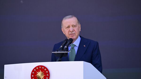 Cumhurbaşkanı Recep Tayyip Erdoğan - Sputnik Türkiye