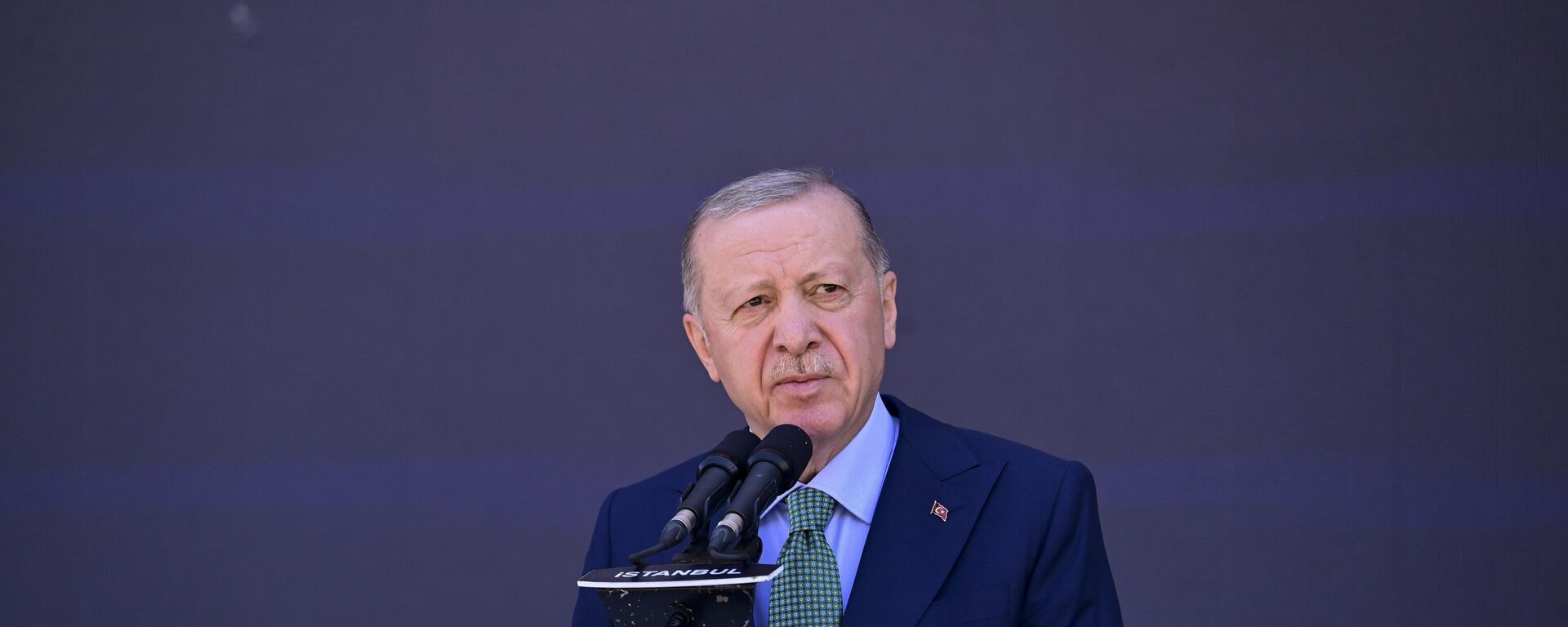 Cumhurbaşkanı Recep Tayyip Erdoğan - Sputnik Türkiye, 1920, 14.08.2025