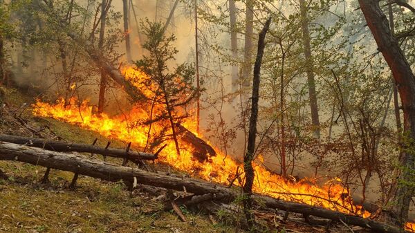 Karabük  - Sputnik Türkiye
