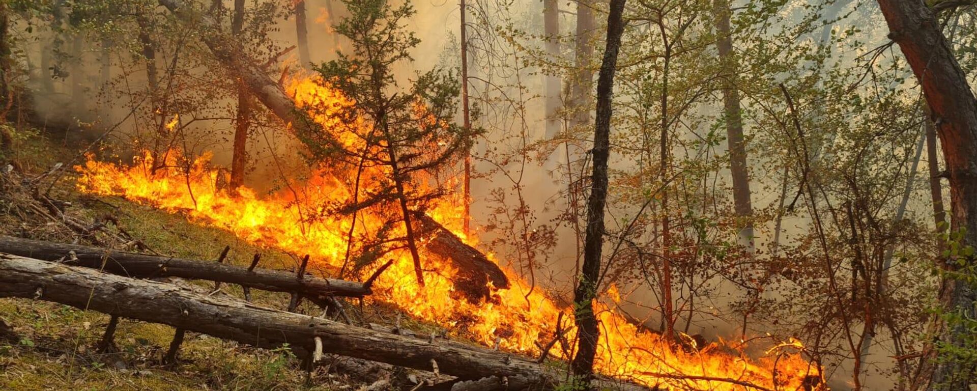 Karabük  - Sputnik Türkiye, 1920, 22.07.2025