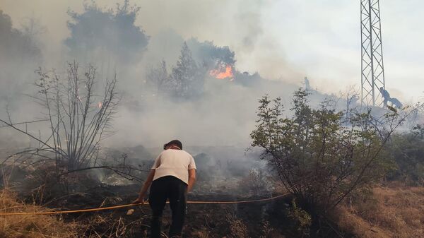 Bilecik yangın - Sputnik Türkiye