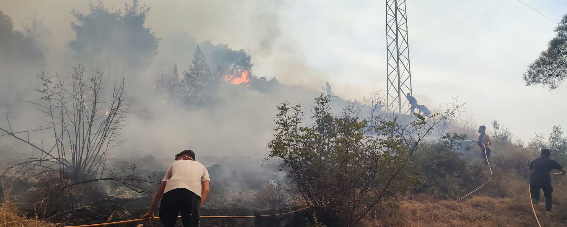 Bilecik yangın - Sputnik Türkiye, 1920, 23.07.2025