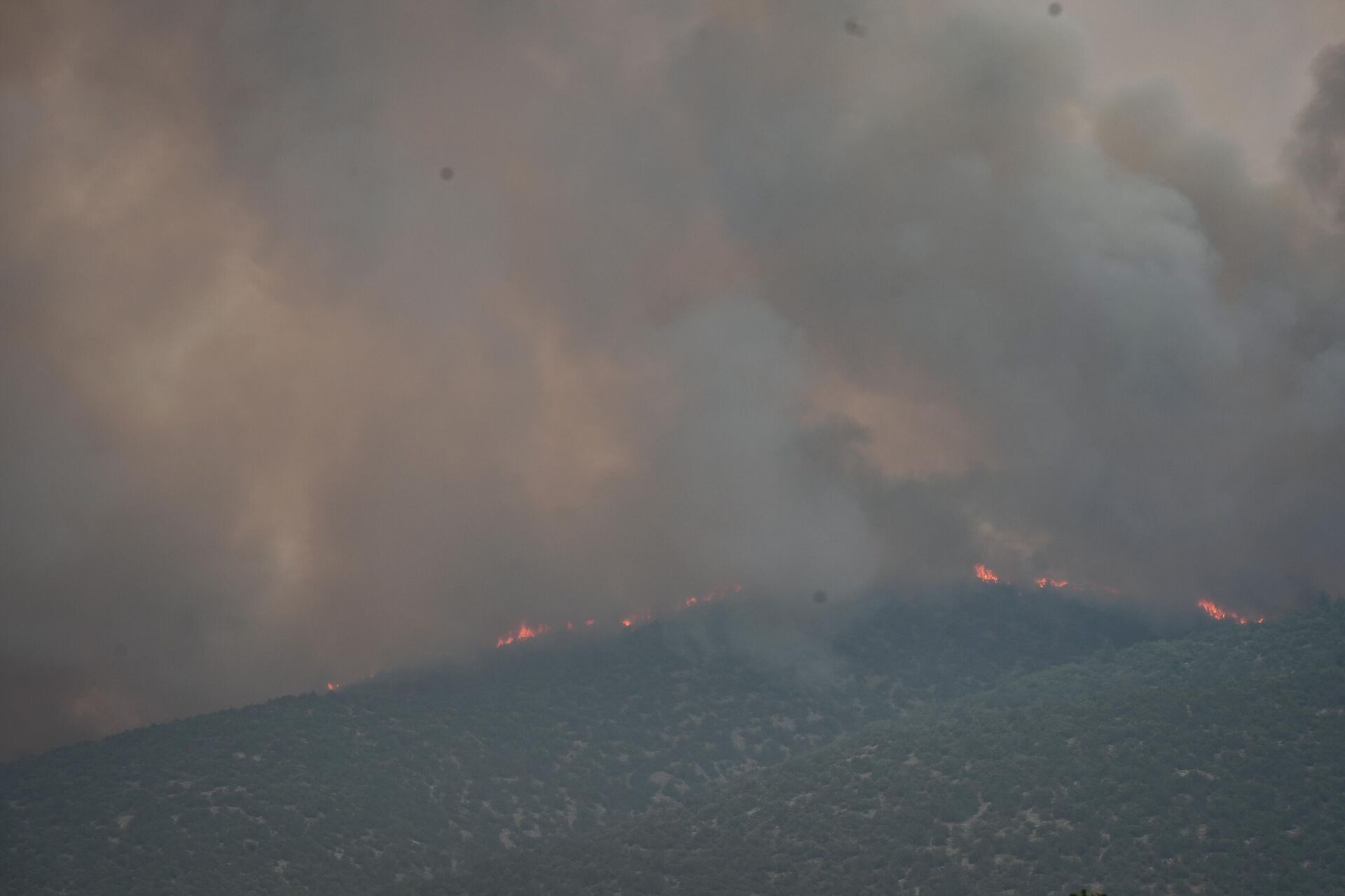 Bilecik yangın - Sputnik Türkiye, 1920, 23.07.2025