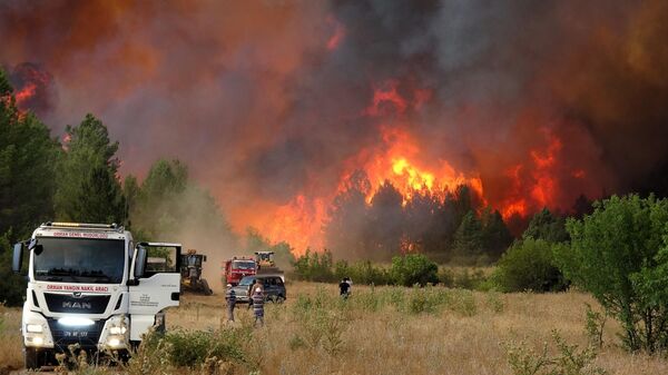 Türkiye orman yangını - Sputnik Türkiye