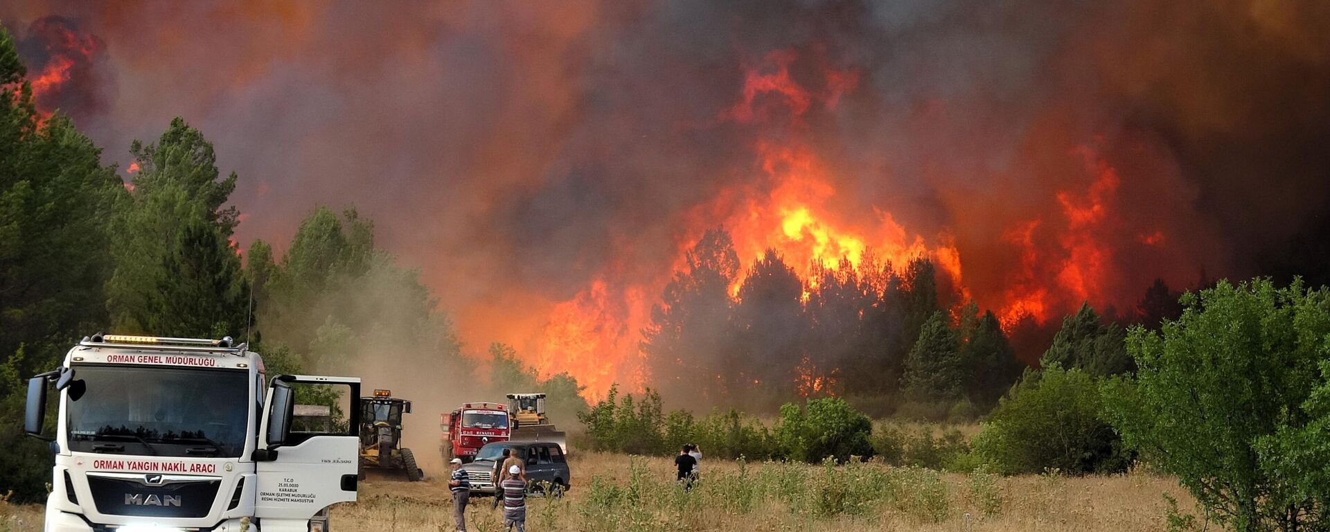 Türkiye orman yangını - Sputnik Türkiye, 1920, 24.07.2025