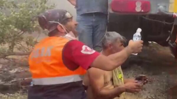 Eskişehir orman yangını - Sputnik Türkiye